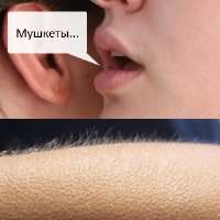 300x300