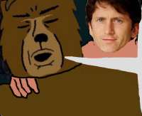 513x420