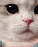 640x800