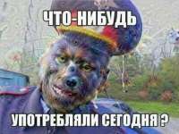 1200x903