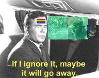 499x395