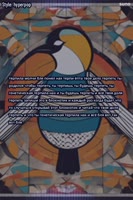 600x900