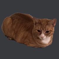 360x360