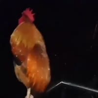 360x360