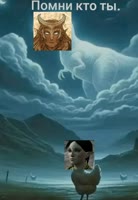 720x1042