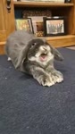406x720
