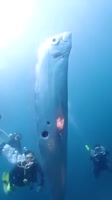 360x640