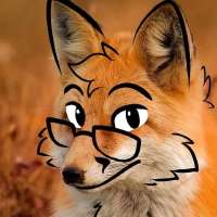 720x720