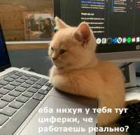740x720