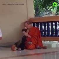 720x720