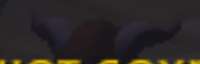 493x160