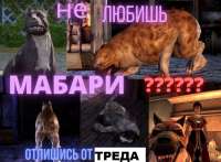 1203x890