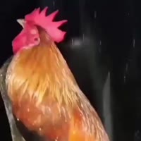 360x360