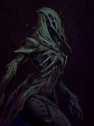 1920x2560