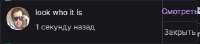344x76