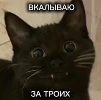 580x576