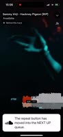 590x1280