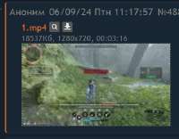 360x282