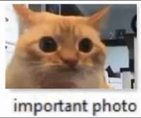 498x420
