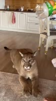 360x640