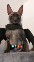 576x1024