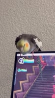 360x640