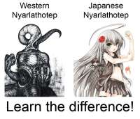800x686