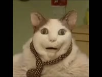 480x360