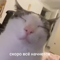 360x360