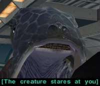 392x336
