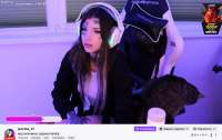 1340x850