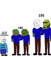 720x808