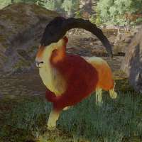 360x360