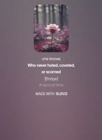 410x558