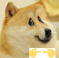 258x255