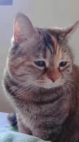 406x720