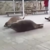 360x360