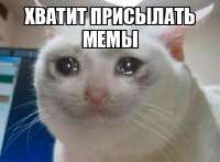 426x314