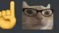 498x279