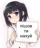 427x510