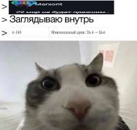 700x668