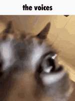 220x292