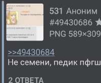 406x334