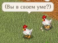 452x336