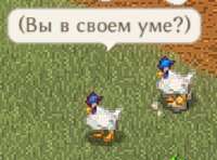 452x336