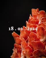 720x900