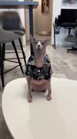 360x640