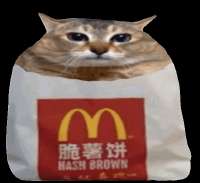 521x479
