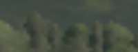 1189x450