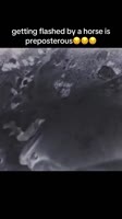 576x1024